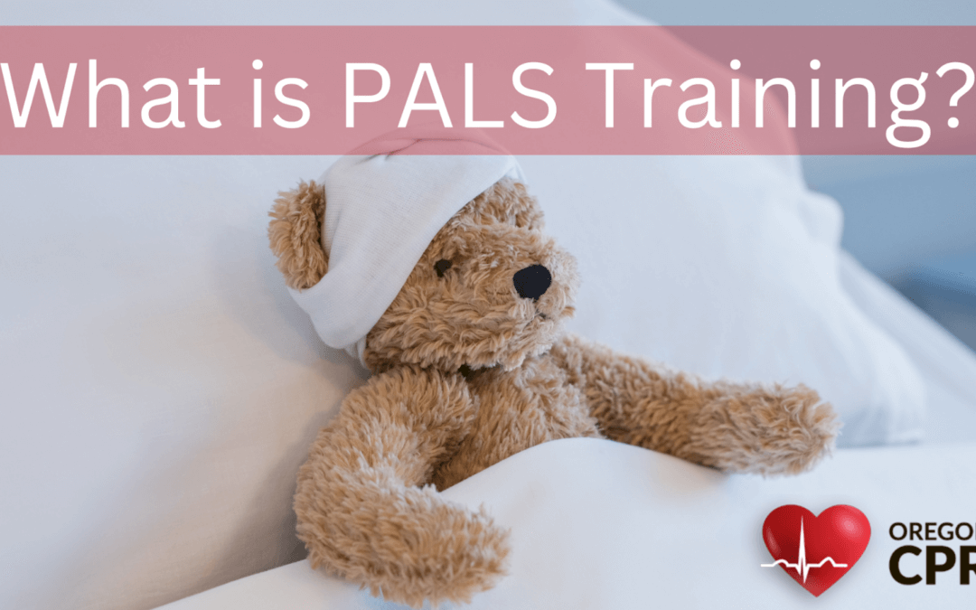 What Is A PALS Course?